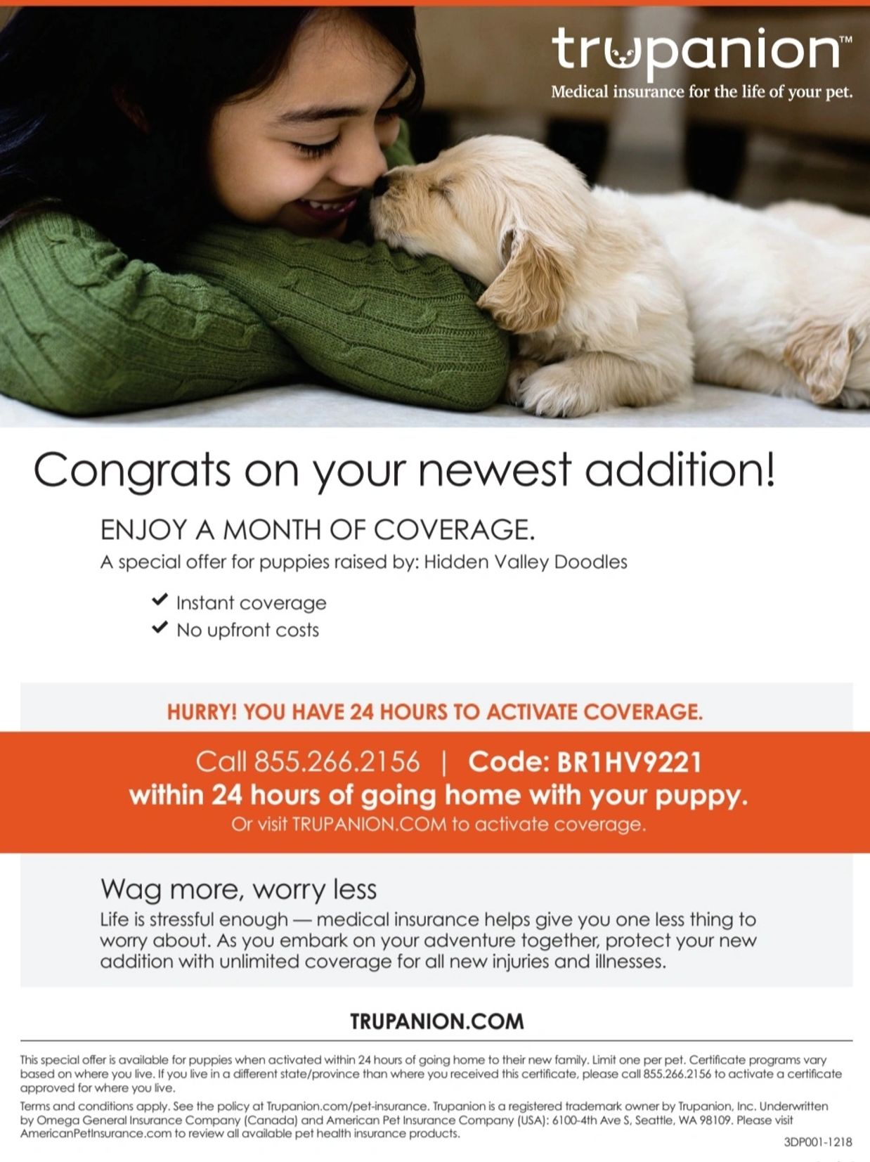 our pet insurance offer